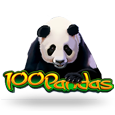 100 Pandas Slots