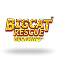 Big Cats Rescue MegaWays