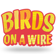 Machine Ã  sous Birds on a Wire