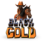 Czarny ZÅ‚oto logo