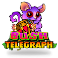 Bush Telegraph to polska nazwa dla kasyna - 
