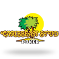 Karibisches Stud logo