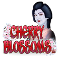 Machines Ã  sous Cherry Blossoms logo