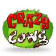 Crazy Cows Slot logo