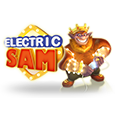 Electric Sam es un sitio web sobre casinos.