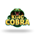 King Cobra - Cobra royal