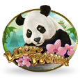 Machines Ã  sous du panda chanceux logo
