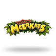 Automat Meet the Meerkats logo