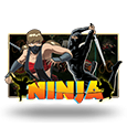 Ninja Slots