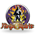 Ninja Spirit Slots to polskie tÅ‚umaczenie brzmi "Automaty duchÃ³w ninja".