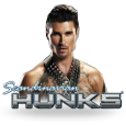 Skandinaviska Hunks Slot logo