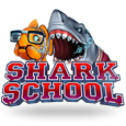 Automat Shark School logo