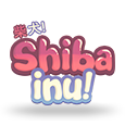 Il Shiba Inu