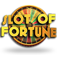 Slot of Fortune Progressive Reel Slot