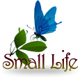 Small Life Logo