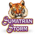 CaÃ§a-nÃ­quel Tempestade de Sumatra logo