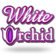 White Orchid MultiWay