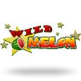 Slot Wild Melon