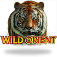 Wild Orient

Sauvage Orient logo