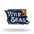 Wild Seas Ð¡Ð»Ð¾Ñ‚ logo