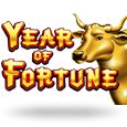 Anno della Fortuna logo
