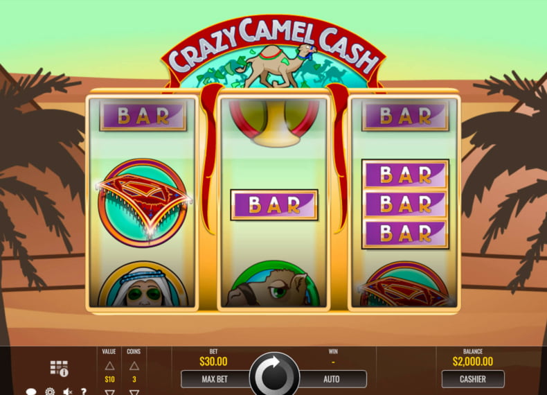 Crazy Camel Cash Slot Captura de tela