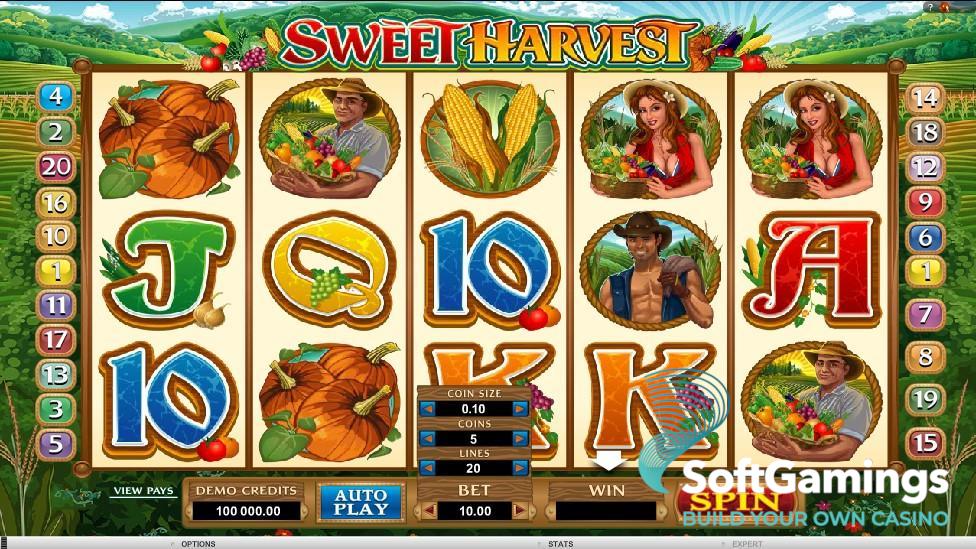 Sweet Harvest Slot Screenshot