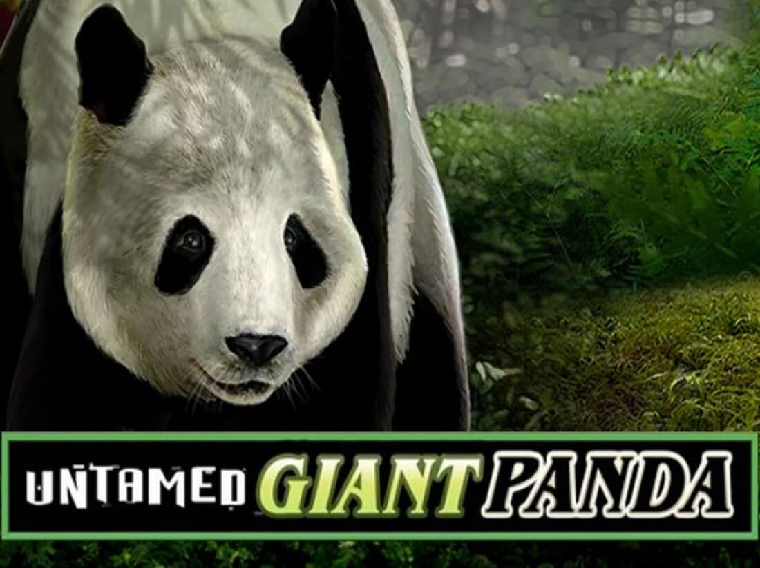 Untamed Giant Panda Slots Screenshot