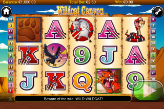 Wildcat Canyon Slot Schermata